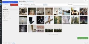 Screenshot 2025-01-28 at 1.47.01 PM